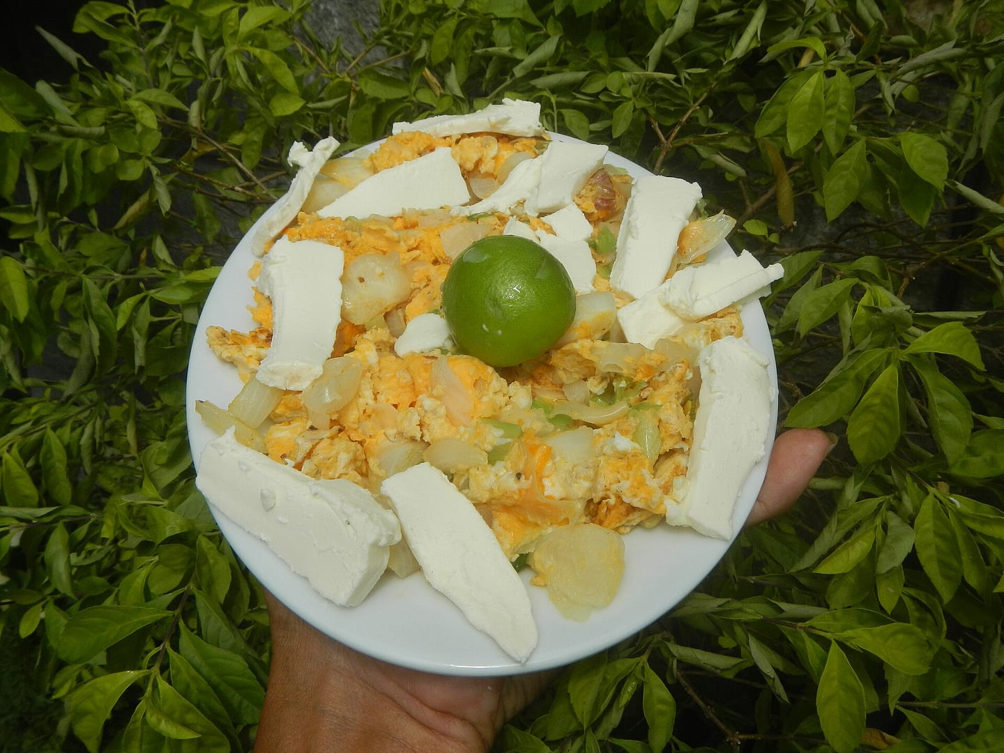Crepioca de queijo macia
