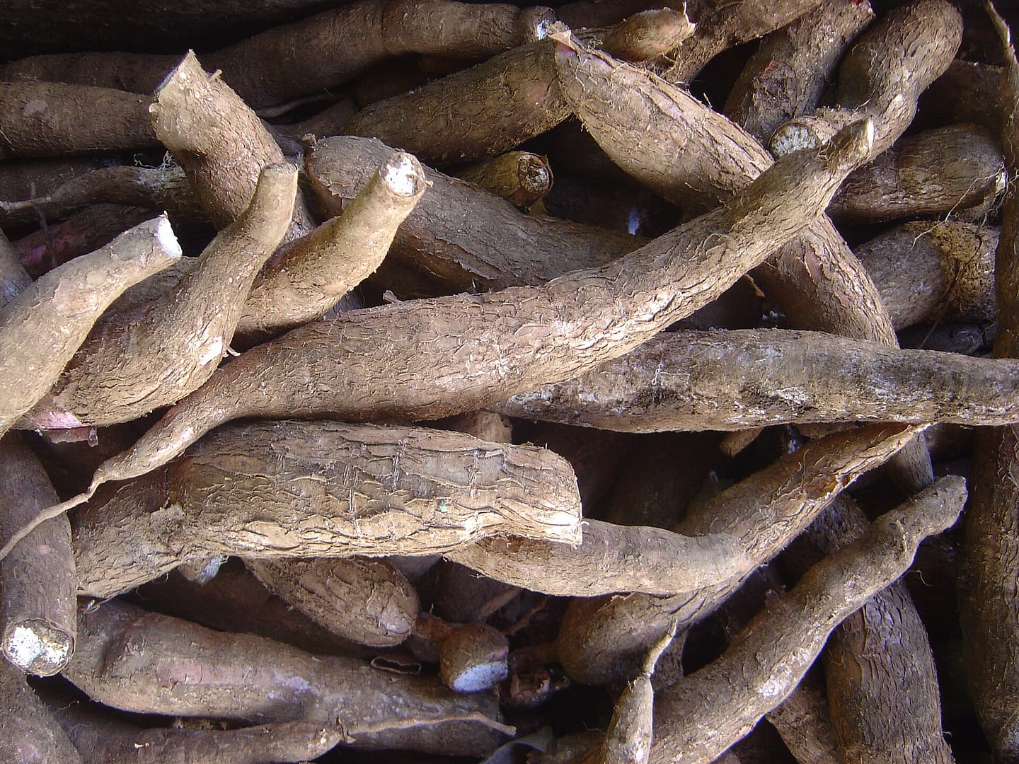 Tapioca recheada sem quebrar