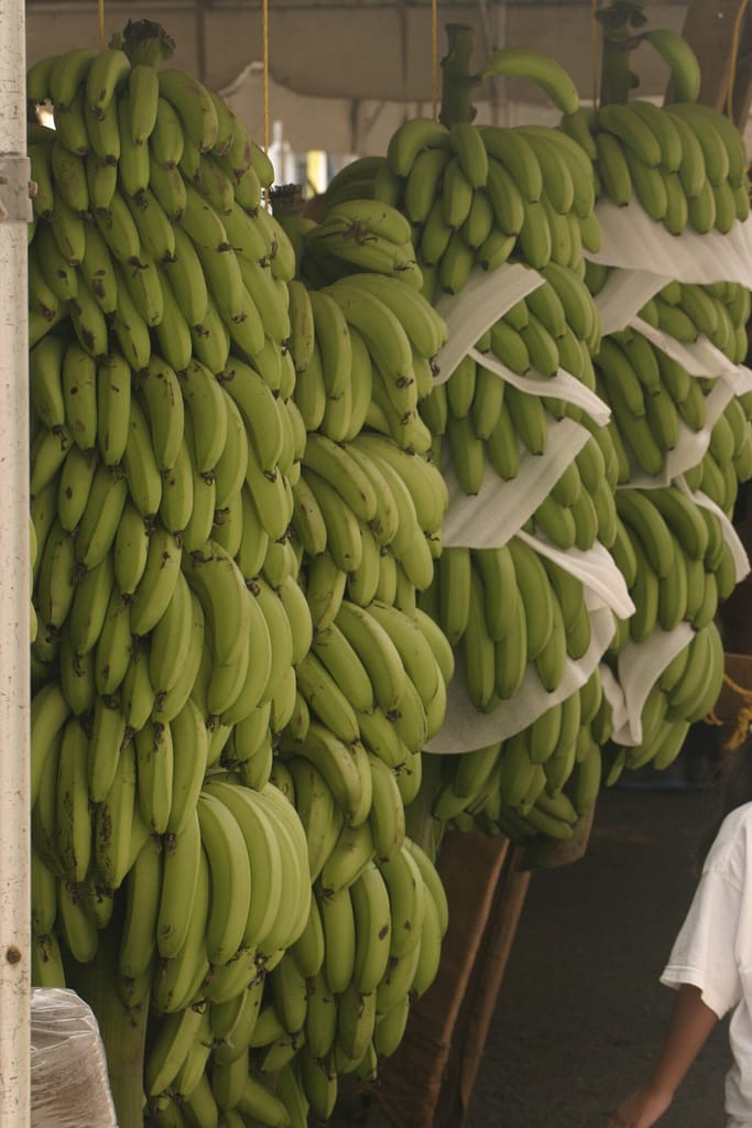 Banana assada na air fryer com canela